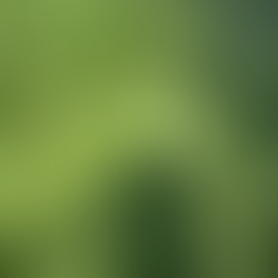 Pay Attention! Don't "Overlook" how you are feeling. In 5 minutes or less.