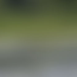 How are you leading your teams? In 5 Minutes or Less.