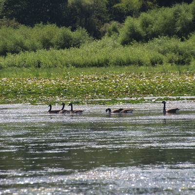 How are you leading your teams? In 5 Minutes or Less.