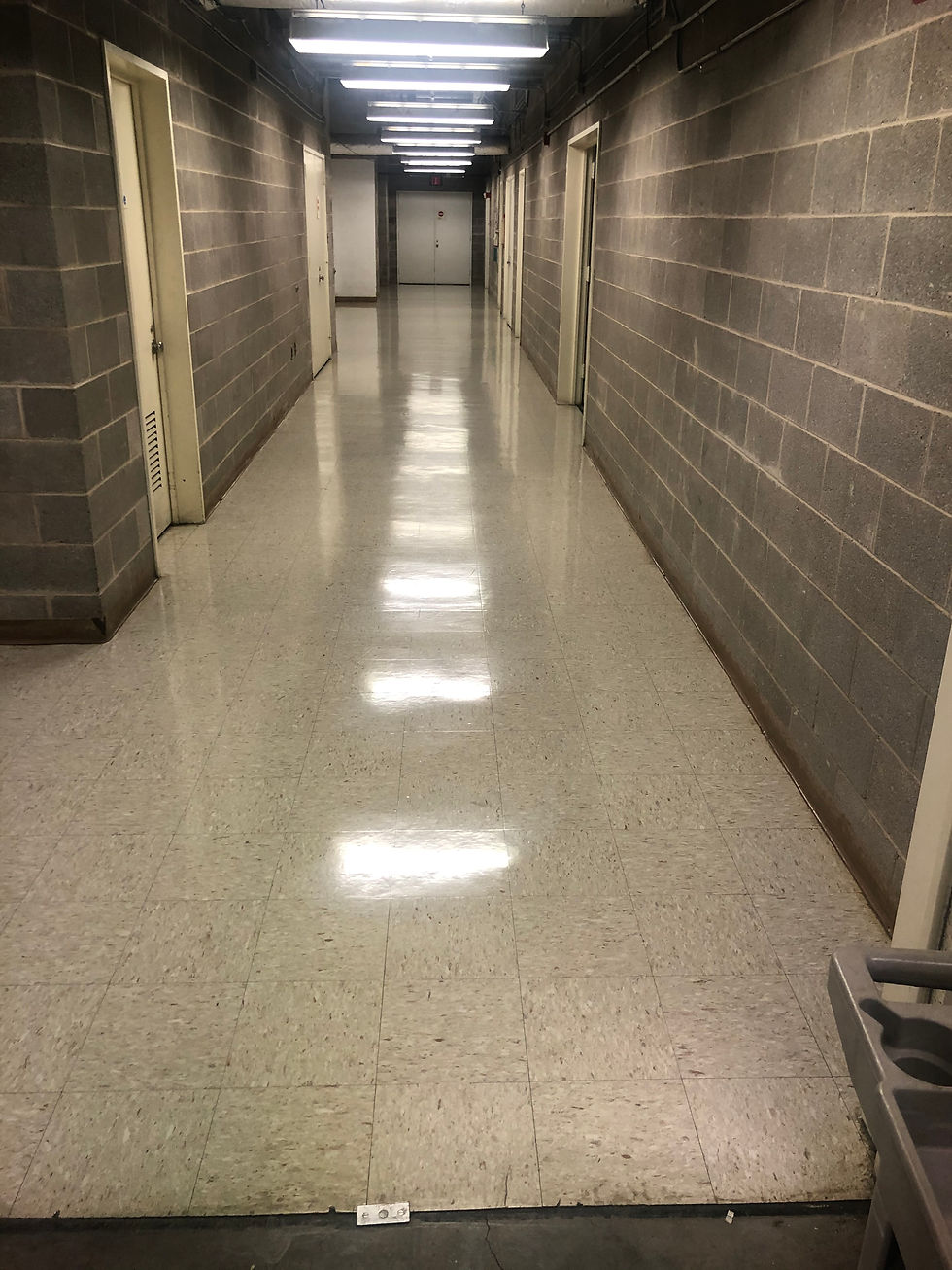 IMG_1673.jpeg