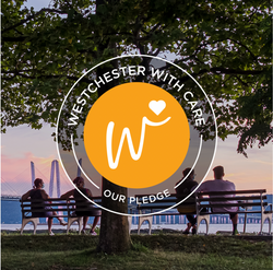 Screen Shot 2021-03-18 at 11.03.22 AM