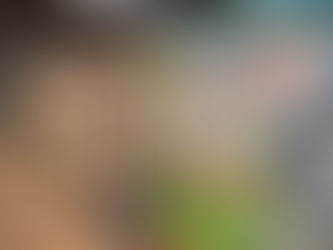 HOW TO BUILD GROCERY STORE DISPLAY SHELVES