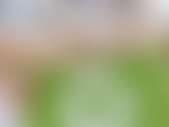 FIGHTING THE DOWNTURN THROUGH STRATEGIC WASTE MANAGEMENT