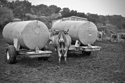 LA TROUÉE RURALITÉ