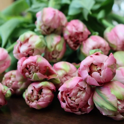 Bouquet Monthly Subscription Ashe County May 2023 BRV Farm