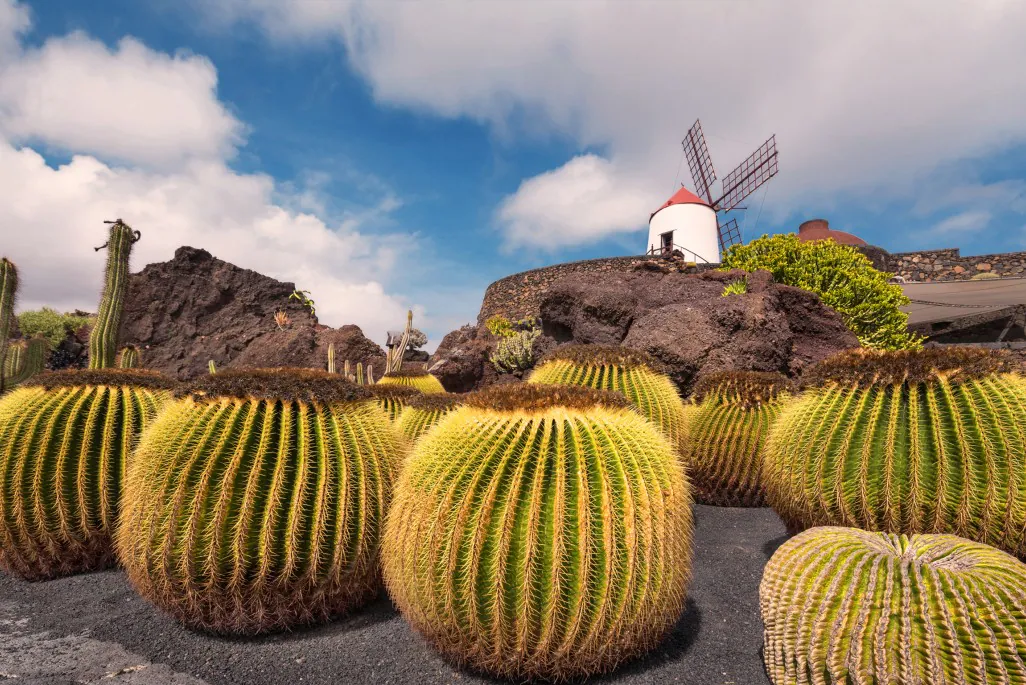 CANARY SEA DARKEST SPOT