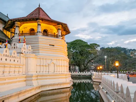 Sri Lanka: un viaggio tra meraviglia, natura e spiritualità