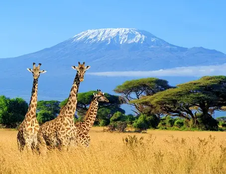 Kenya - speciale estate 