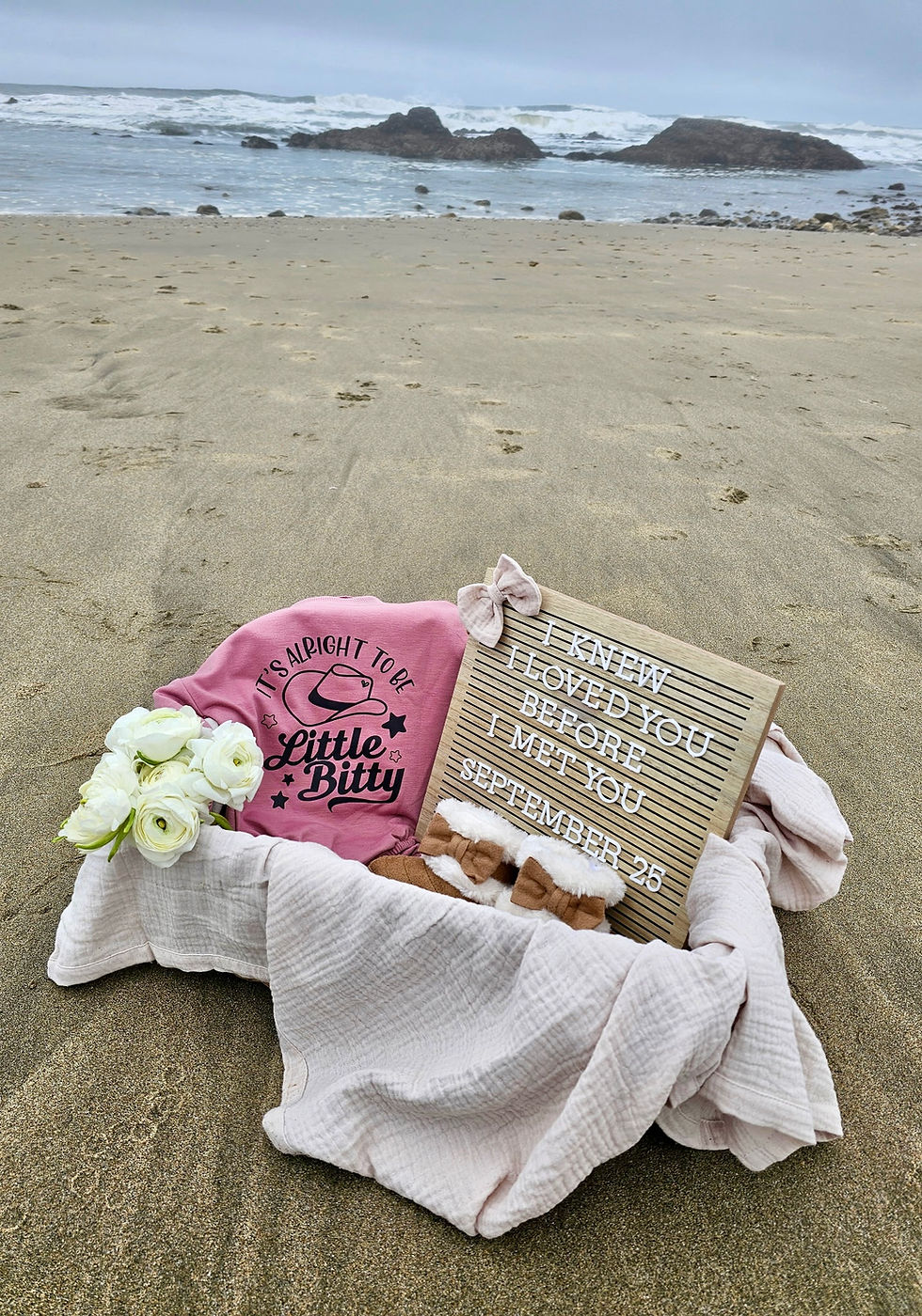 Baby announcement setup on a beach with a pink onesie, flowers, and a letter board in a blanket basket