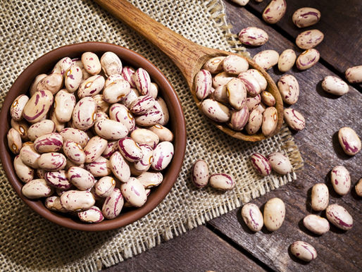 🫘Fagiolo: il "chiacchierone" proteico