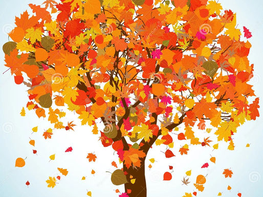 🍁 Autunno in arrivo: strategia anti-malanni stagionali (senza drammi)