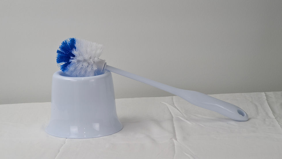 Globe™ Toilet Brush & Caddy Set