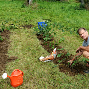 Sweet Days Ahead - New Fruit Orchard and Berry Patch