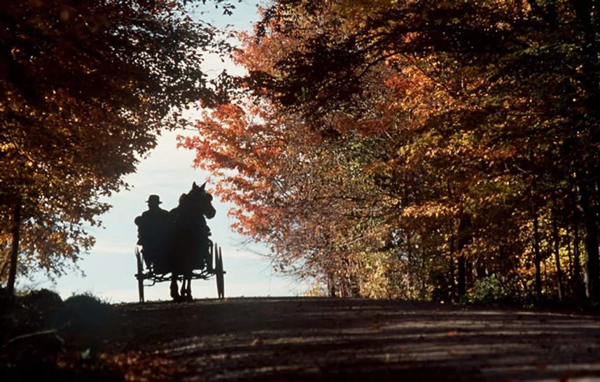 mennonite-story-banner.webp
