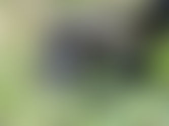 Not All Those Who Wander are Lost