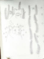 the line drawing for my bear backpack design for Redbubble