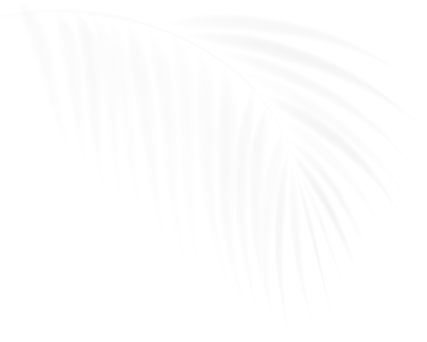 Leaves Shadow