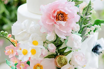 Photo Credit-Chelsea Lavallee Photography_edited.jpg