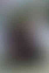 Cérémonie du feu symbolique - Purification et énergie pour l'avenir lors du mariage de Mauryne et Gilles dans le Nord.