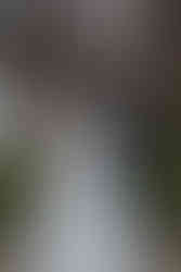 Mariage Intimiste Bretagne Manoir de la Bégaudière