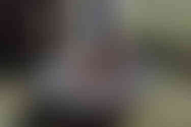 Cérémonie du feu symbolique - Purification et énergie pour l'avenir lors du mariage de Mauryne et Gilles dans le Nord.