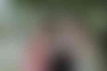 Photographe de mariage capturant l'amour authentique lors d'un mariage unique dans le Nord - Mauryne et Gilles