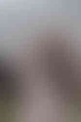 Photographe de mariage capturant l'amour authentique lors d'un mariage unique dans le Nord - Mauryne et Gilles