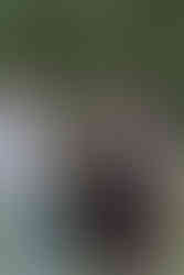 Photographe de mariage capturant l'amour authentique lors d'un mariage unique dans le Nord - Mauryne et Gilles