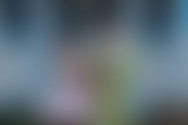 Une séance couple colorée dans la baie de Somme