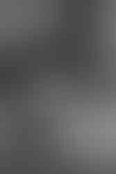 Préparatifs intimes d'un mariage à Lille - Mauryne et Gilles se préparent avec leurs proches et leurs adorables chats.