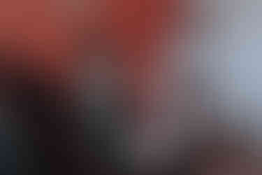 Préparatifs intimes d'un mariage à Lille - Mauryne et Gilles se préparent avec leurs proches et leurs adorables chats.