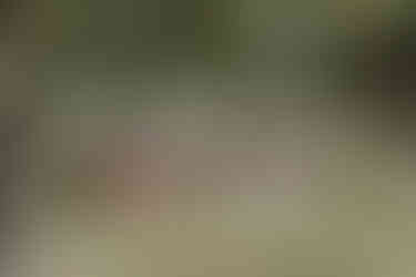 Photographe de mariage capturant l'amour authentique lors d'un mariage unique dans le Nord - Mauryne et Gilles