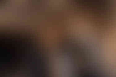 Mariage Intimiste Bretagne Manoir de la Bégaudière