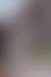 Photographe de mariage capturant l'amour authentique lors d'un mariage unique dans le Nord - Mauryne et Gilles