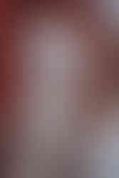 Préparatifs intimes d'un mariage à Lille - Mauryne et Gilles se préparent avec leurs proches et leurs adorables chats.