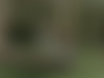 Séance photo médiévale fantasy en Bretagne | Cosplay & couples alternatifs | Ivannalys Photographe