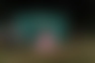 Séance Photo Farmer Daughter à Loudéac en Bretagne