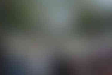 Cérémonie sacrée dans le jardin - Mauryne et Gilles célèbrent leur amour entourés de leurs proches à Lille.