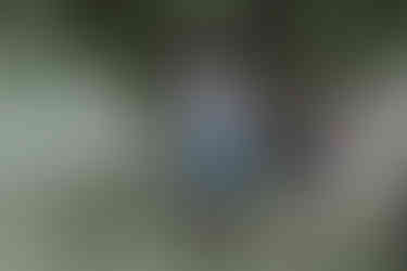 Photographe de mariage capturant l'amour authentique lors d'un mariage unique dans le Nord - Mauryne et Gilles