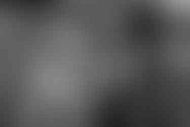 Vin d'honneur festif dans un magnifique jardin du Nord - Mauryne et Gilles partagent des moments joyeux avec leurs proches