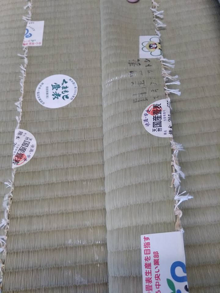 畳表