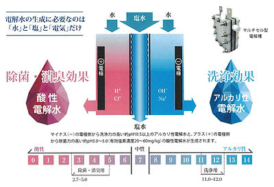 電解水生成メカニズム