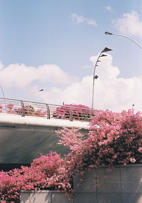 Tamura (12).jpg