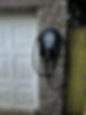 IMG_0147.jpeg