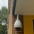IMG_3271.jpeg