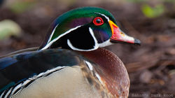 19698EEC-76D0-4EF2-892F-D17407EA8204