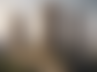 new majiwada developer in thane