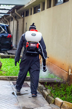 Spraying Chemical on Stairs