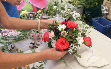 IMG_8151.JPG