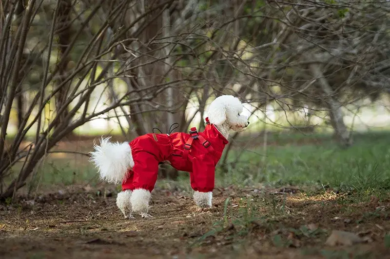 Thumbnail: StormGuard™ Waterproof Dog Suit